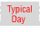 Typical Day