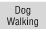 Dog Walking